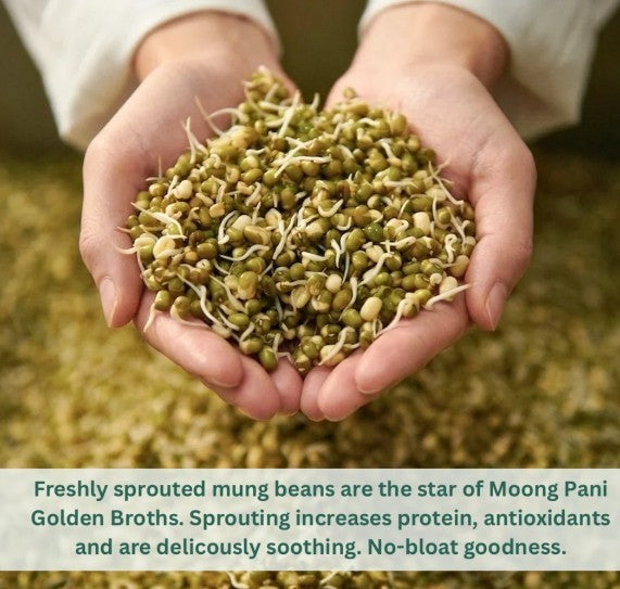 Moong Pani - Ginger, Lemon, Turmeric Golden Broth | 18g Plant Protein/pouch | 9 cups