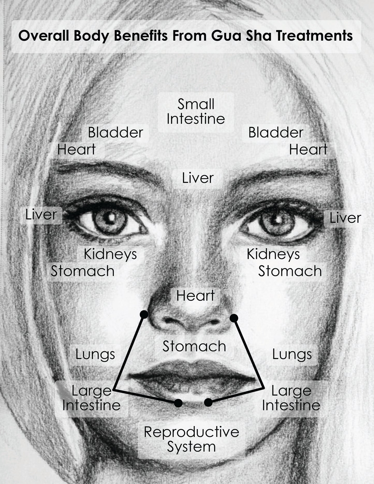Organic Cactus Natural Botox Face Oil - 20 ml