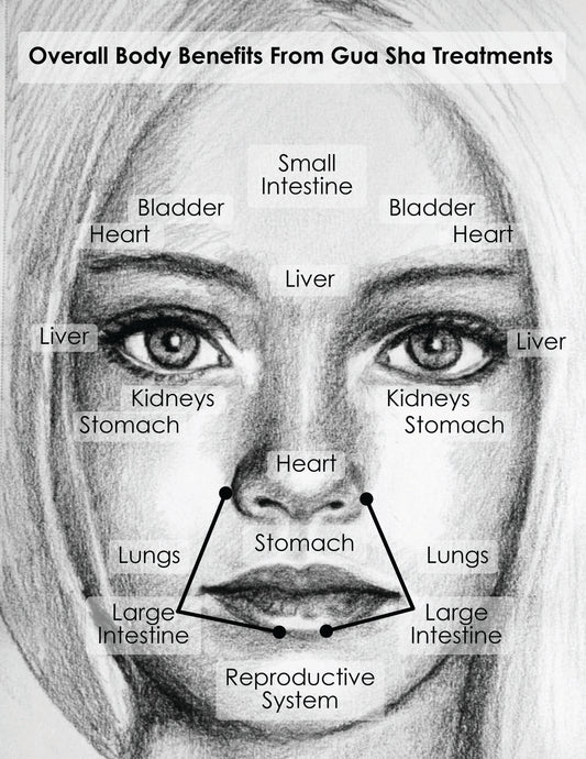 Organic Cactus Natural Botox Face Oil - 20 ml